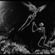Black Dahlia Single
