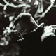 Grown Folk Music Single