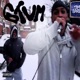 SnowedUnder Single