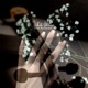 White Strings
