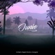 Junio feat Ciscoguitar Bachata Version Single