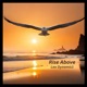 Rise Above Single