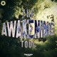 The Awakening TOOL Single