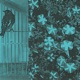 Albion Single