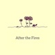 After the Fires Single