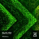 Green Walls EP