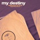 My Destiny Denon Reed Remix Single