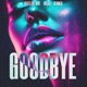 Goodbye Single