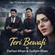Teri Bewafi Single