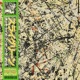 SLY GREEN Single