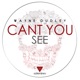 Can t You See Club Mix Single