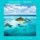 Paradise feat Blem Remix Remix Single