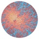 Pattern Index Single