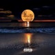Moonlight Single