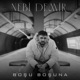 Boşu Boşuna Gülben Ergen Cover Single