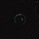 Nocturnal Single