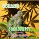 FreshFruit feat Jeffe the GMC Single