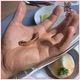 Lobster Bisque Single