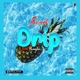 Drip feat Shaylia Single