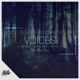 Voices feat NK Single