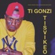 Tisvikeo Single