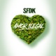 Amor Ilegal Single