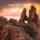 I Don t Need Your Love Single