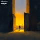 Daylight Single