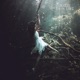 Swan Lake Single