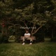 Magnolia Tree Single