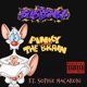 Pinky And The Brain feat Sophie Macaroni Single