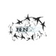 Rn Single
