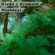 Weekdays