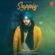 Supply Single