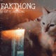 ฟ กทอง feat FAKTHONG Single