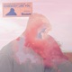 Somebody Like You Single