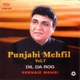 Punjabi Mehfil Vol 7