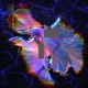 Technosensual Single