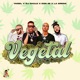 Vegetal Single