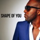 Shape of You Kizomba Remix Single
