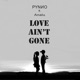 Love Ain t Gone feat Analu Single
