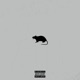 F g Rat feat Theo Rem Single