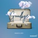 Goodbye Single