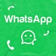 Whatsapp Single