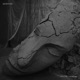Huellas EP