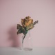 Belong feat Kimbra Single