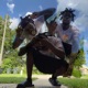 Flyy Single