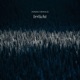 Irrlicht Single