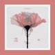 S N E F Y feat Miguel Aluad Single