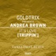 It s Love Trippin feat Andrea Brown Funkerman Remix Single